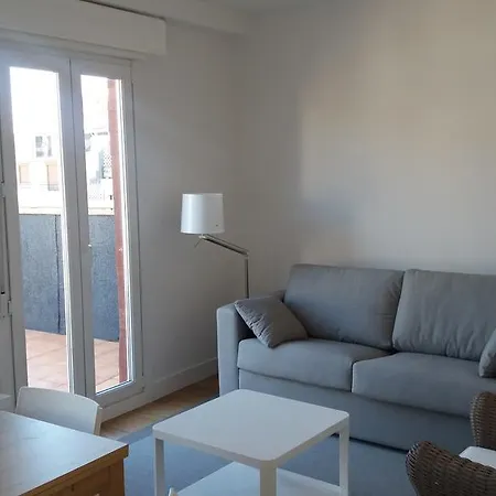 Larramendi Terrace Apartment *